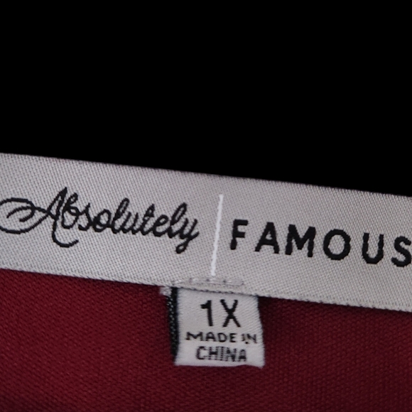 Women's Red Lace 1X Top Shirt Bell Sleeve Whimsygoth Corset Sheer Boho Festival - Picture 3 of 6